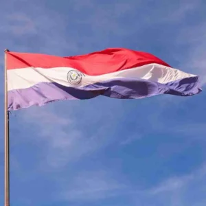 Choosing the Right Paraguay Immigration Agencies for a Smooth Process