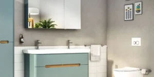 Waarom een Bidet wc steeds populairder wordt en hoe je een Bidet aansluiten op wc